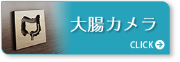 大腸カメラ