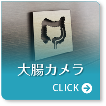 大腸カメラ