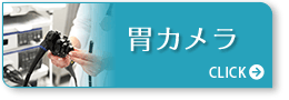 胃カメラ