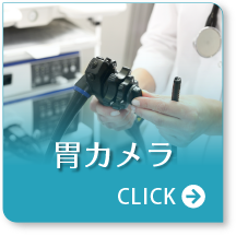 胃カメラ